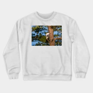 Grooming time Crewneck Sweatshirt